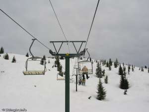 Sasquatch Chair-Up Line