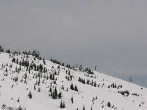 Sasquatch Chair-Upper Liftline