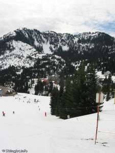 Strawline Handle Tow-Down Line