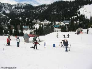 Strawline Handle Tow-Bottom Station