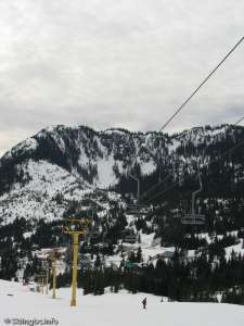 Whistlepunk Double-Down Line