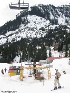 Whistlepunk Double-Down Line