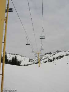 Whistlepunk Double-Up Line