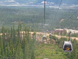 Golden Eagle Express-Down Line