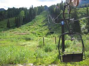 Pioneer Double-Up Line