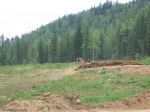 Handle Tow-Looking up at top station