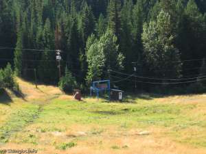 T-bar-Bottom Station