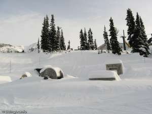 Peak to Peak Gondola-Construction Equipment?
