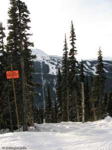 Peak to Peak Gondola-Construction Liftline