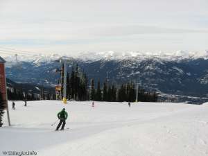 Wizard Express-Down Line