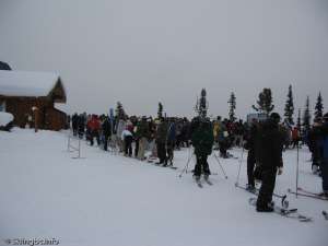 7th Heaven Express-Lineup