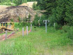 Abracadabra Platter-Top Station, there is a brown bear!
