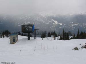 Catskinner Chair-Down Line