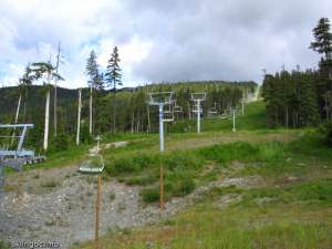 Excelerator Chair-Up Line