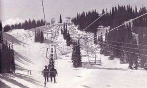 Green Doubles-Up Line. Photo Credit: Dave Blair