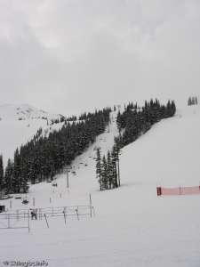 Harmony Express-Up Line