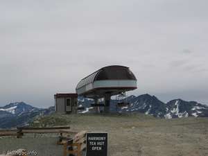 Harmony Express-Top Station