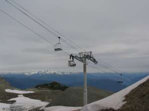 Harmony Express-Tower