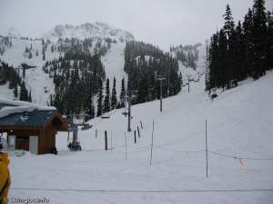 Jersey Cream Express-Up Line