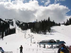 Jersey Cream Express-Bottom Station and Liftline