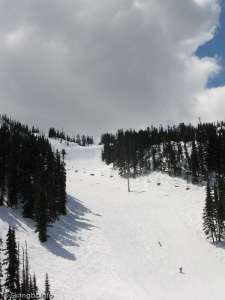 Jersey Cream Express-Up Line