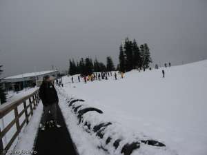 Olympic Magic Carpet-Down Line