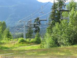 Magic Chair-Down Line