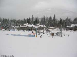 Magic Chair-Bottom Station