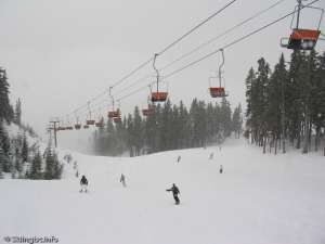 Orange Chair-Down Line