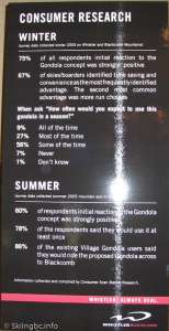 Peak to Peak-Consumer Research