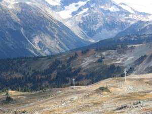 Symphony Express-Towers