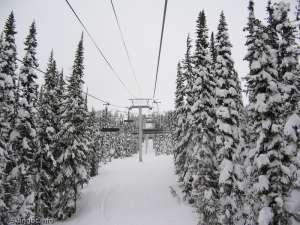 Symphony Express-Up Line