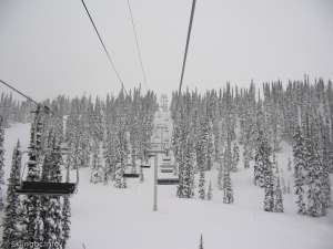 Symphony Express-Up Line