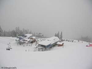 Solar Coaster and Wizard-Terminals