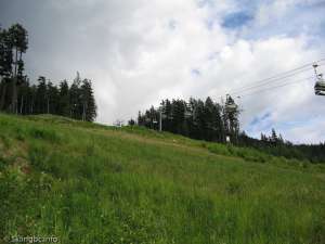 Wizard Express-Up Line