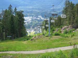 Wizard Express-Down Line