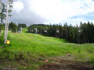 Wizard Express-Up Line