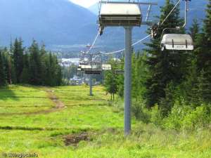 Wizard Express-Down Line