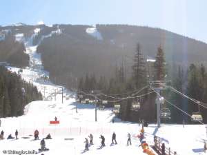 Wizard Express-Up Line