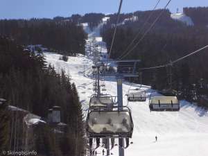 Wizard Express-Up Line