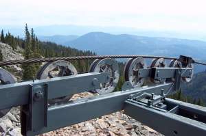 Paradise Triple-Sheaves. Photo by Allan