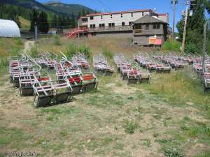 Red Chair-Chairs off line