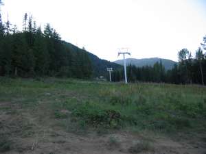 Silverlode Quad-Up Line