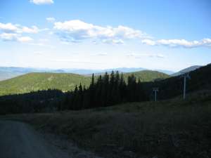 Silverlode Quad-Down Line