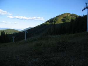 Silverlode Quad-Down Line