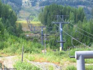 Silverlode Triple-Up Line