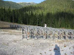 Blue Chair-Chairs off line