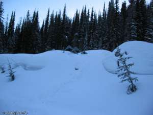 Boneyard at Silver Star-Yan HSQ Chairs