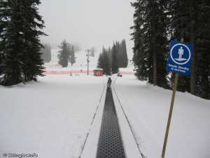 Discovery Carpet-Up Line