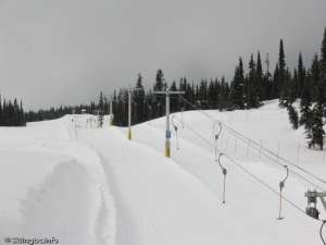 Home Run Tee-Up Line